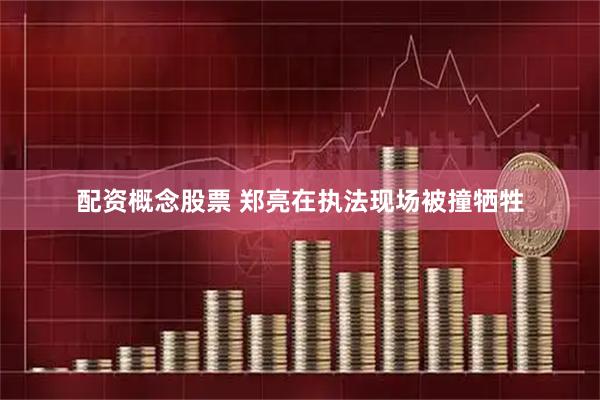 配资概念股票 郑亮在执法现场被撞牺牲