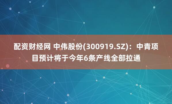 配资财经网 中伟股份(300919.SZ)：中青项目预计将于今年6条产线全部拉通